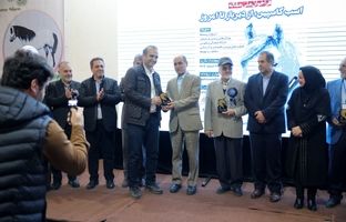 بیستمین جشنواره ملی زیبایی اسب کاسپین در منطقه آزاد انزلی برگزار شد