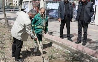 بیش از ۲۰۰۰ اصله نهال در منطقه۱۳ کاشته شد