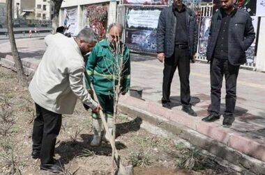 تحقق اهداف راهبردی سال ۱۴۰۴ مدیریت شهری منطقه۱۳ 
