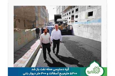 آزادسازی ۸ قطعه زمین به ارزش حدود ۳ همت