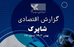 رشد چشمگیر تراکنش‌های پرداخت الکترونیک در بهمن ۱۴۰۳/ سهم ۸۳ درصدی ترمینال‌های فعال و بهبود کیفیت خدمات شاپرک
