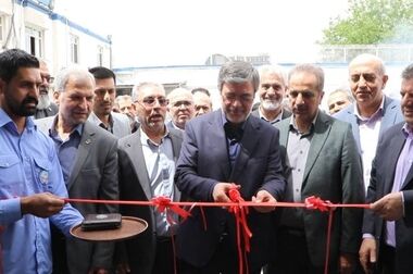 ۷۰ درصد سرمایه صنعت بیمه کشور در اختیار بیمه ایران است