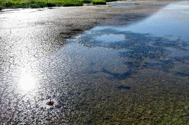 دغدغه تامین آب و ۱۲ سدی که زیر ۱۰ درصد پرشدگی دارند