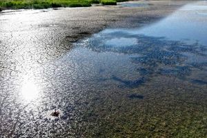 بحران آب تهران به مرز تنش جدی رسیده است