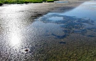 بحران آب تهران به مرز تنش جدی رسیده است