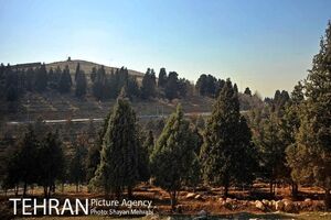 ۸۰ کیلومتر آبرسانی بوستان جنگلی سرخه حصار انجام شد