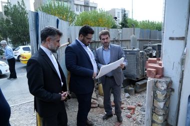 لاشه دام‌های ذبح شده، توسط دامپزشکان بررسی می‌شود