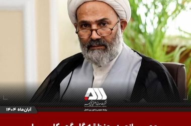 ساختار دارایی ها و بدهی های شرکت معدنی و صنعتی گل گهر

