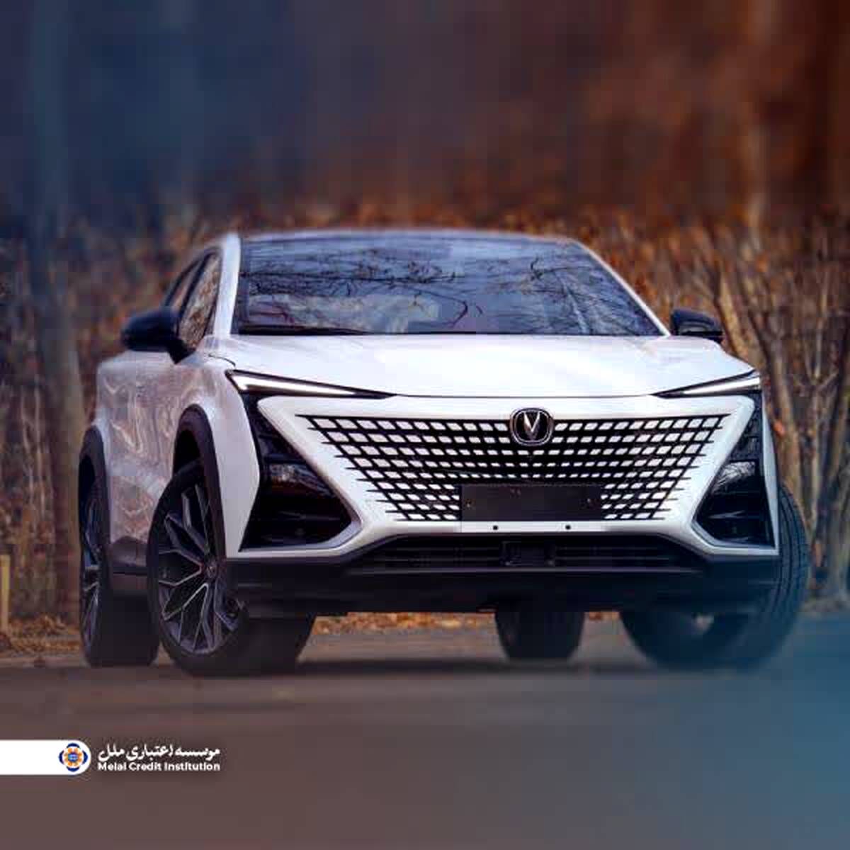 آغاز مرحله جدید فروش خودروهای وارداتی با همکاری مؤسسه اعتباری ملل