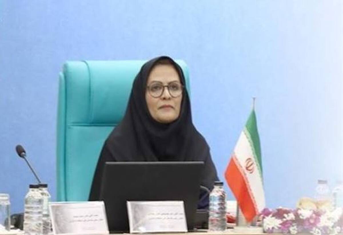 ​​​​​​اصلاح الگوی مصرف با استانداردسازی انرژی محقق می‌شود 