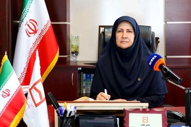 بانک مسکن بیشترین سهم تأمین مالی نهضت ملی را داشته است / افزایش سرمایه بانک مسکن سریع‌تر عملیاتی شود