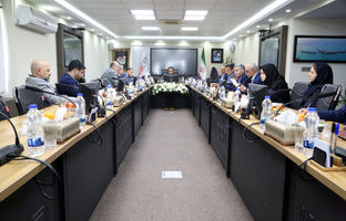  آقاجانلو: مدل اجرایی جدید برای تامین مالی طرح های مس طراحی شود 