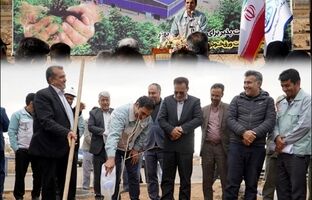 نگین فیروزه‌ای ورق خودرو با حلقه سبز جنگلی احاطه می شود