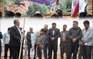 نگین فیروزه‌ای ورق خودرو با حلقه سبز جنگلی احاطه می شود