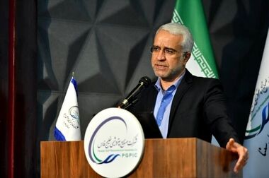 گام بلند صنایع پتروشیمی خلیج فارس در کسب رتبه برتر مدیریت ریسک سازمانی و رسیدن به مرحله بلوغ