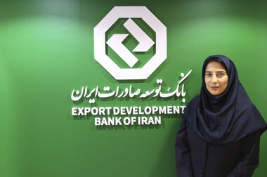 بانک توسعه صادرات ایران حامی تولیدکنندگان بزرگ با تأمین مالی هدفمند