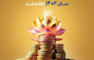 سود مشارکت در منافع سال ۱۴۰۲ اعلام شد