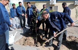 برگزاری مراسم کاشت نهال توسط مدیر عامل شرکت سنگ آهن مرکزی
