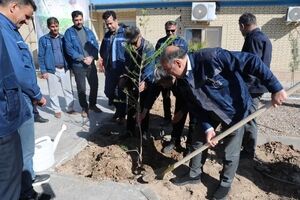 برگزاری مراسم کاشت نهال توسط مدیر عامل شرکت سنگ آهن مرکزی