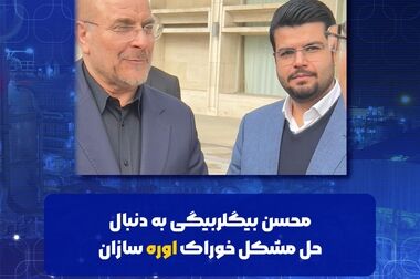 پیام تبریک محسن بیگلربیگی سرپرست پتروشیمی هنگام به مناسبت روز صنعت پتروشیمی