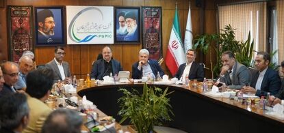تأکید مدیرعامل هلدینگ خلیج‌فارس بر تسریع در اجرای پروژه‌های تأمین برق شرکت‌های آسیب‌دیده با مشارکت مپنا