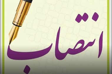 انتصاب سید محمود موسوی به عنوان مدیرعامل جدید شرکت بیمه میهن