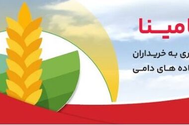 تحول دیجیتال در بانک ملت/تاکید بر پایداری، نوآوری و مشتری مداری