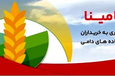 تشریح نحوه وکالتی سازی حساب در بانک ملت