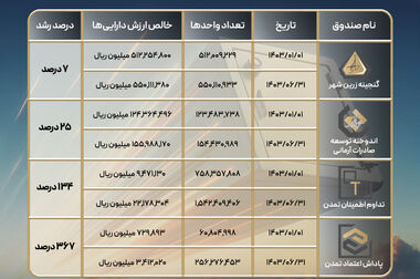 سود 63.2 همتی «صندوق گنجینه زرین شهر» طی 13 سال