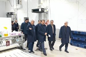 سرمایه در گردش واحدهای تولیدی هرچه سریع‌تر پرداخت شود
