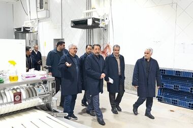 تلاش مستمر برای پر نگه داشتن قفسه فروشگاه ها
