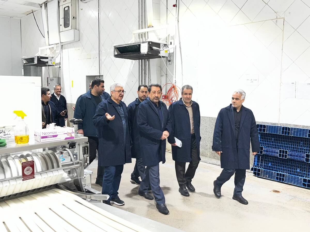 سرمایه در گردش واحدهای تولیدی هرچه سریع‌تر پرداخت شود