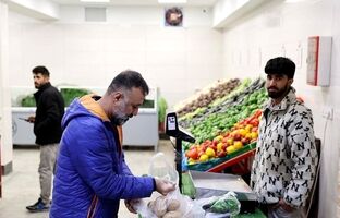 اختلاف قیمت ۳۹ درصدی میوه در میادین و بازارهای میوه و تره‌بار به نسبت سطح شهر