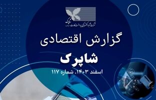 
گزارش 117 اقتصادی شاپرک منتشر شد