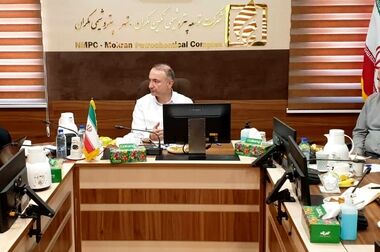 راه اندازی الفین و اتیلن گلایکول شرکت پتروشیمی بوشهر به زودی / جایگاه ویژه شرکت پلیمر آریاساسول در سبد ارزآوری شستان