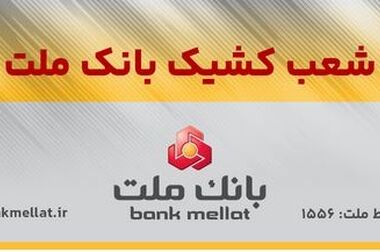 امکان وکالتی سازی حساب تا ۱۶ مرداد/اعطای ۳ میلیارد ریال تسهیلات بدون ضامن در بانک ملت برای ثبت نام خودروهای وارداتی