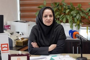 عزم جدی مدیریت بوشهر برای تقویت منابع و پرداخت تسهیلات / پرداخت بیش از ۴۱ هزار میلیارد ریال تسهیلات در دولت چهاردهم