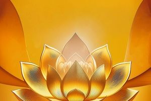 بیمه پاسارگاد رکورد شکنی کرد 