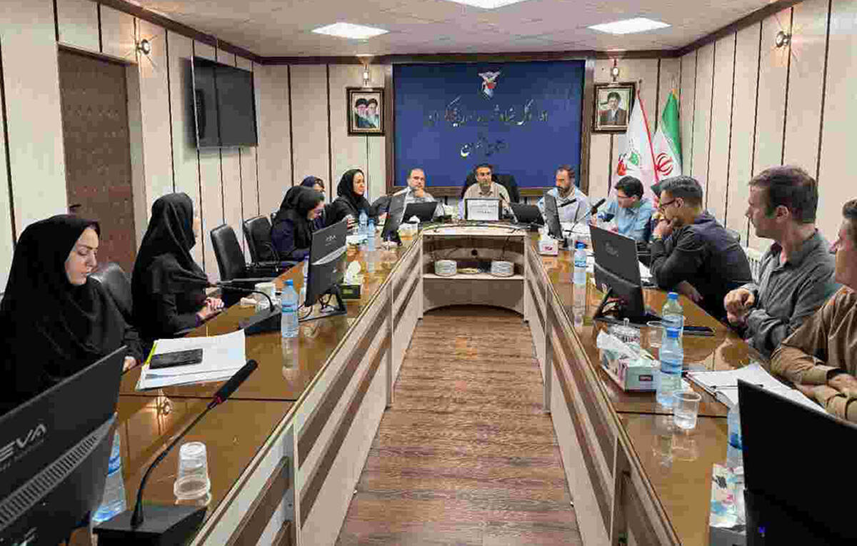 تأکید بر تسهیل ارائه خدمات درمانی به ایثارگران در نشست مشترک بیمه دی و بنیاد شهید استان زنجان