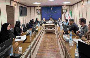 تأکید بر تسهیل ارائه خدمات درمانی به ایثارگران در نشست مشترک بیمه دی و بنیاد شهید استان زنجان