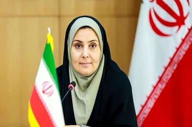 یک سوم منازل کشور با کمک مالی بانک مسکن تهیه شده است
