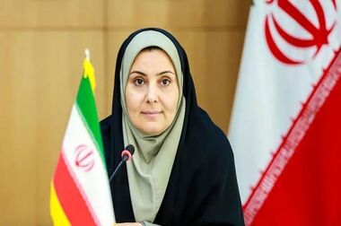 یک سوم منازل کشور با کمک مالی بانک مسکن تهیه شده است