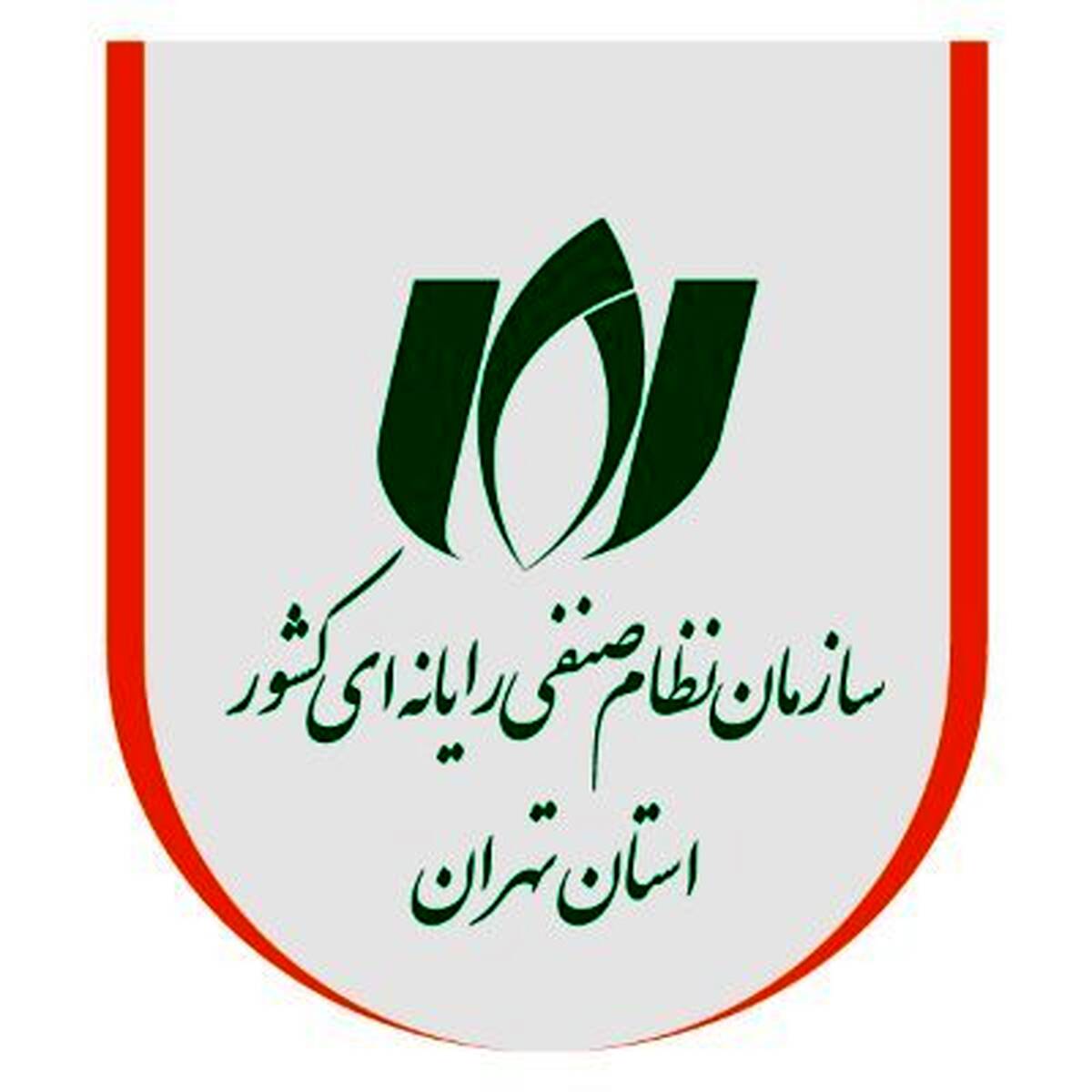 گزارشی از اقدامات سازمان نظام صنفی رایانه‌ای در جنگ 12 روزه/ راهکارهای فوری برای دوام اقتصاد دیجیتال