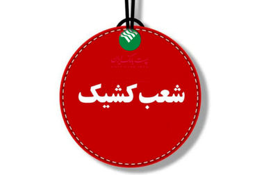 جلسه ارزیابی عملکرد اردیبهشت ماه مدیریت شعب استان‌ها و مناطق پست بانک ایران برگزار شد