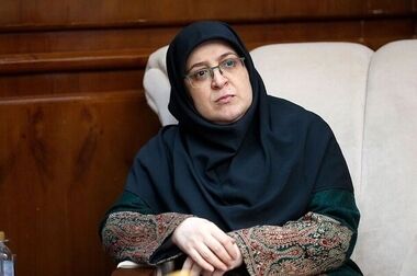 دولت از افزایش قیمت دلار دفاع نمی‌کند