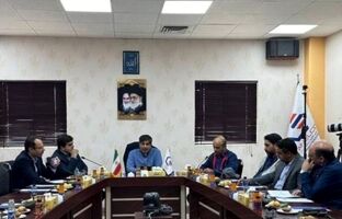 تولید الکترودهای گرافیتی در ایران؛ گامی بزرگ به سوی خودکفایی