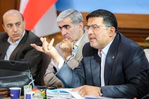 اهتمام بانک مسکن بر پرداخت تسهیلات متمم پروژه‌های حمایتی مسکن