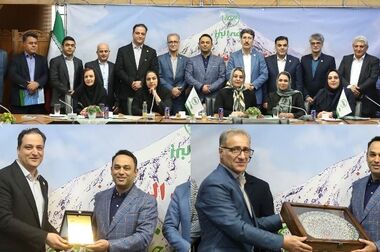 نقش نوشتی از طرح «بیمه های زندگی و سرمایه گذاری پروژه محور»