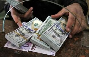 دولت از افزایش قیمت دلار دفاع نمی‌کند