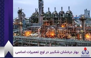 تحقق سود خالص ۱۵۹ درصدی و جهش ۳۰ درصدی درآمد فروش